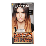 se/3288/1/loreal-preference-wild-ombres-01