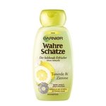 se/2752/1/garnier-ultimate-blends-shampoo-clay-lemon