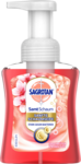 se/3669/1/sagrotan-flytande-tval-mousse-cherry-rose