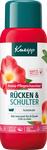se/6908/1/kneipp-aroma-care-skumbad-rygg-axlar
