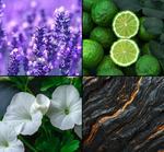 se/7229/3/tesori-d-oriente-deospray-men-ebony-ginseng